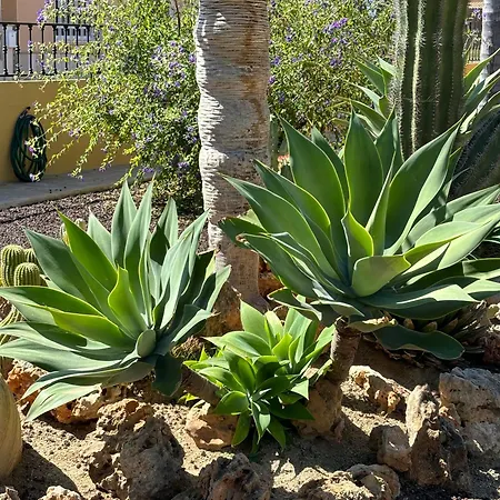Villa Bo *